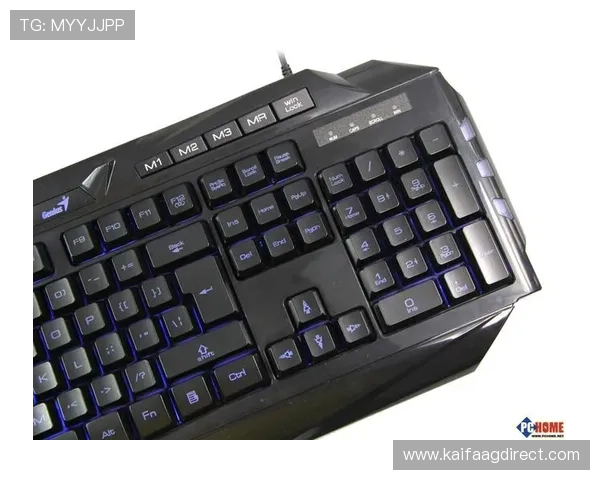 提升游戏体验：K8亚洲登陆后个性化设置与优化技巧